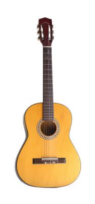 Akustische Gitarre